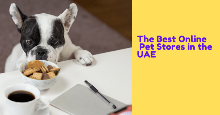 The Best Online Pet Stores in the UAE